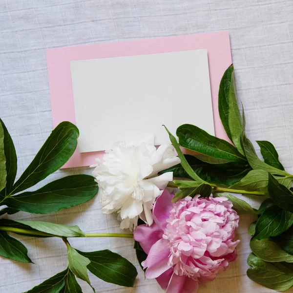 Leere Grußkarte Einladungsattrappe Minimaler Floraler Rahmen Mit Weißen Und Rosafarbenen — Stockfoto