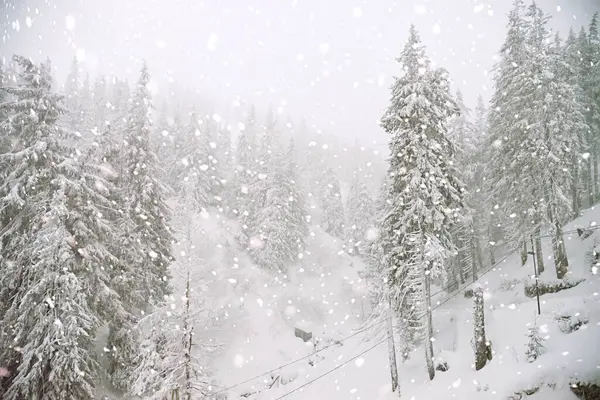 Árboles Cubiertos Nieve Las Montañas Pintoresca Escena Invernal Bosque Invierno — Foto de Stock