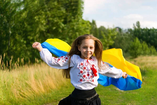 フィールドにウクライナの黄色と青のフラグを持つウクライナの子供の女の子 民族衣装を着た少女 ウクライナ独立記念日 憲法の日だ ウクライナと — ストック写真