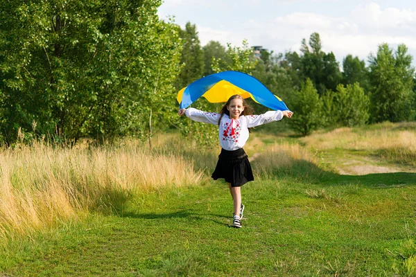 Украинская Девочка Желто Голубым Флагом Украины Поле Девушка Национальной Одежде — стоковое фото