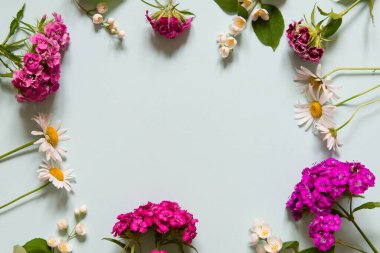 Dianthus caryophyllus, yasemin ve papatya çiçekleri. Mavi arka planda minimalist çiçek dekoru olan boş bir kart modeli. Tebrik ya da davet için şablon.