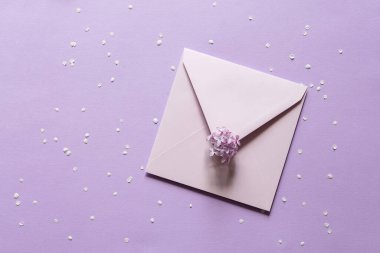 Boş tebrik kartı maketi. Mor kağıt arkaplanda mor bir zarfın içinde kağıt maketi. Düz yatıyordu. Düğün, iş, doğum günü, hayat sahnesi. Çiçek yaprakları ve leylak dalı.