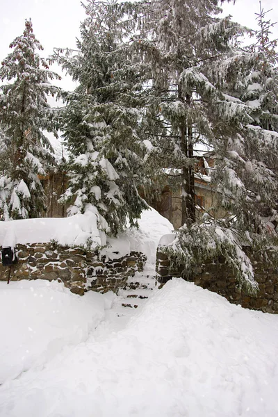 Dağlarda Karla Kaplı Ağaçlar Evin Kapısı Var Resimli Kış Sahnesi — Stok fotoğraf