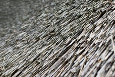 Hasır duvar dokusu arkaplanını kapat, eski model sazdan çatı elementi.