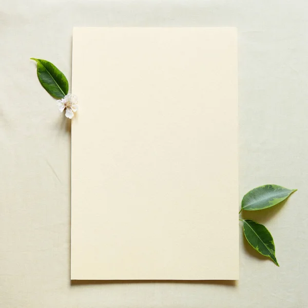 Blank Greeting Card Invitation Envelope Mockup Rectangular Blank Fresh Green — Stock Photo, Image