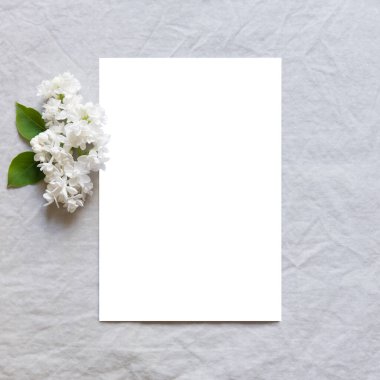 Mutlu yıllar, Anneler Günü, düğün kompozisyonu. Boş tebrik kartı, davetiye ve zarf modeli. Dikdörtgen şeklinde boş ve narin leylak çiçekleri var. Düz yerde, üst tarafta. kare.