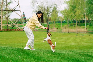 Bir kadın ve bir köpek parkta çimlerin üzerinde top oynuyorlar. Top köpekte, Jack Russell Terrier köpeğinde. Güzel, renkli bir yaz. Parkta gölü olan doğal bir Idyllic manzarası..