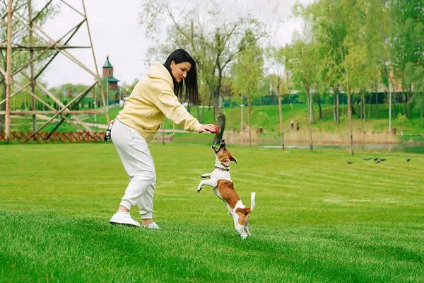 Woman and a dog playing ball in the park on the grass. The dog jumps for the ball, jack russell terrier dog. Beautiful colorful summer natural Idyllic landscape with a lake in the park.