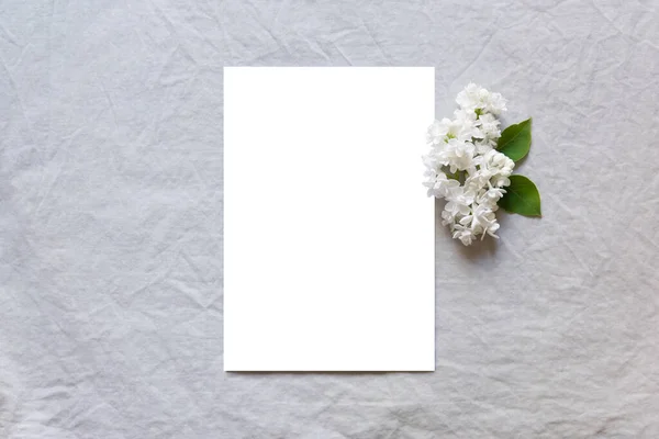 Feliz Aniversário Dia Mãe Composição Casamento Cartão Saudação Branco Convite — Fotografia de Stock