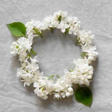 Çiçek kompozisyonu. Açık gri tekstil arka planında beyaz çiçek çelengi. Düğün için tebrik kartı şablonu, anneler ya da kadınlar günü. İlkbahar kompozisyonu ve fotokopi alanı. Düzleştirme biçimi