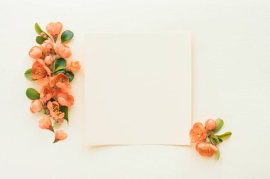 Düz kompozisyon ve açık arkaplanda turuncu çiçekler vardı. Minimum çiçek çerçevesi. Üst Manzara. Uzayı kopyala Anneler günün kutlu olsun, kadınlar günü, doğum günün veya düğünün kutlu olsun. Boş kart, maket.