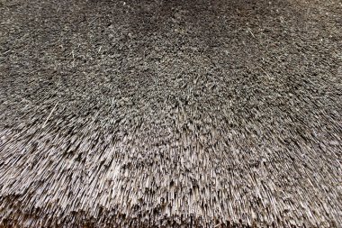 Hasır duvar dokusu arkaplanını kapat, eski model sazdan çatı elementi.