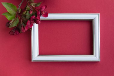 Anneler ve Kadınlar Günü konsepti. Fotoğraf çerçevesinin en üst görüntüsü ve şarap arkaplanındaki şarap arkaplanlı cennet çiçeklerinden oluşan bir dal.