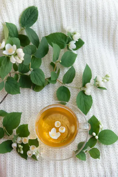 Jasmijn Geurige Kruidenthee Een Lichte Pastelachtergrond Kopje Thee Antioxidant Dieetthee — Stockfoto