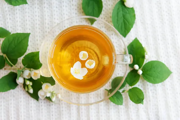 Jasmín Vonící Bylinkový Čaj Světle Pastelovém Pozadí Šálek Čaje Antioxidant — Stock fotografie