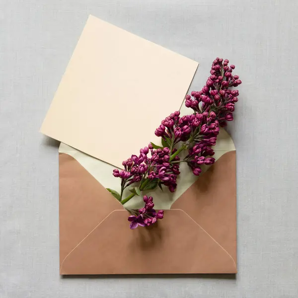 Lilac branch peeking from brown craft envelope on neutral gray background, greeting card template. Happy mother\'s day, women\'s day or birthday, wedding composition.
