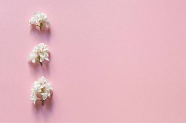 Yumuşak pembe arka planda leylak çiçekleri. Anneler günü, kadınlar günü konsepti. Düz yerde, üst tarafta. Çiçek bileşimi