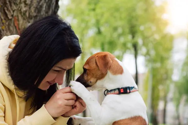 Woman and a dog close-up portraits. Woman holds a dog by the paws, hugs. Dog looks into the owner\'s eyes. Jack russell terrier dog. Beautiful colorful summer natural landscape