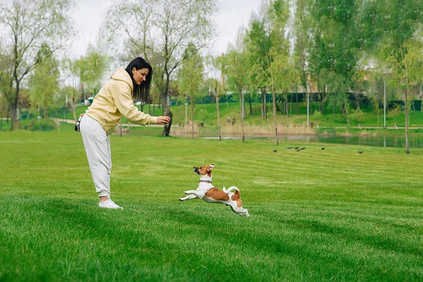 Woman and a dog playing ball in the park on the grass. Dog jumps for the ball, jack russell terrier dog. Beautiful colorful summer natural Idyllic landscape with a lake in the park.