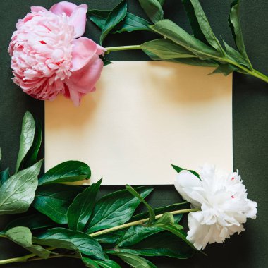 Yeşil arka planda iki şakayık çiçekli boş kağıt tebrik kartı. Düz yatıyordu. Çiçek bileşimi