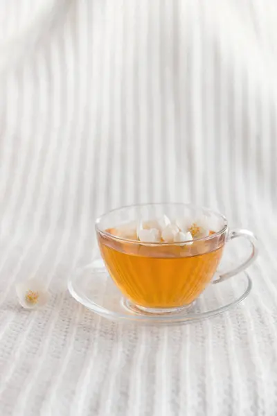 Jasmine Pachnąca Herbata Ziołowa Jasnym Pastelowym Tle Filiżankę Herbaty Przeciwutleniacz — Zdjęcie stockowe