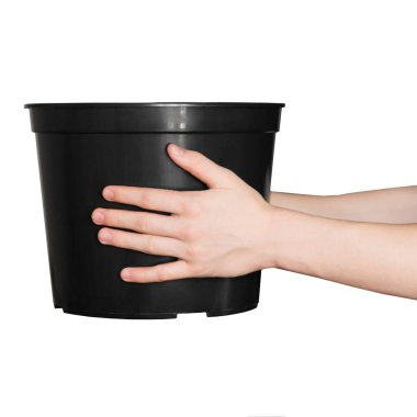 Erkek eli siyah plastik bir saksı tutuyor. Ellerinde basit bir saksı, saksı ev bitkileri için. Beyaz bir arkaplanda izole edilmiş.