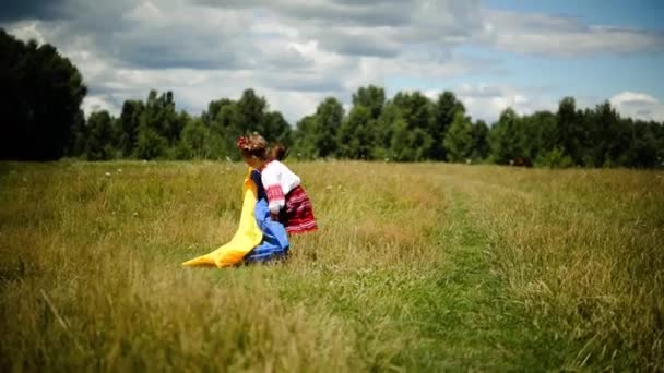 Mutlu Küçük Bir Çocuğun Portresi Geleneksel Ukrayna Elbisesi Başında Bir — Stok video