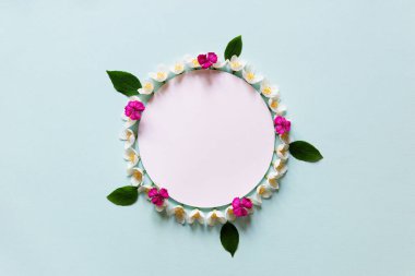 Taze yeşil yapraklı yuvarlak beyaz ve pembe çiçek çelengi. Boş tebrik kartı, yumuşak mavi arka planda davetiye modeli. Düz yerde, üst tarafta. Ekoloji, geri dönüşüm