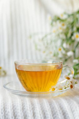 Bir fincan yeşil papatya çayı, yeşil papatya çiçekleri olan rahat bir arka planda.