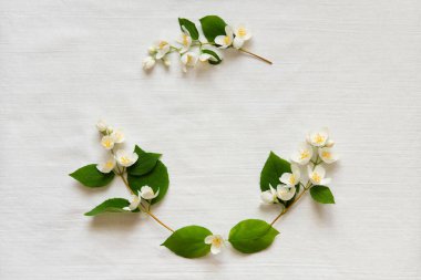 Minimalist yasemin çiçeklerinin çiçek dalları ve beyaz tekstil arka planında yeşil yapraklar. Tebrikler ve davetiyeler için bir şablon. Anneler Günün kutlu olsun, Kadınlar Günü. Boş kart modellemesi