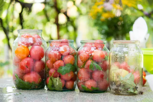 Four Glass Jars Canned Vegetables Tomatoes Herbs Spices Home Conservation — Stock Photo, Image