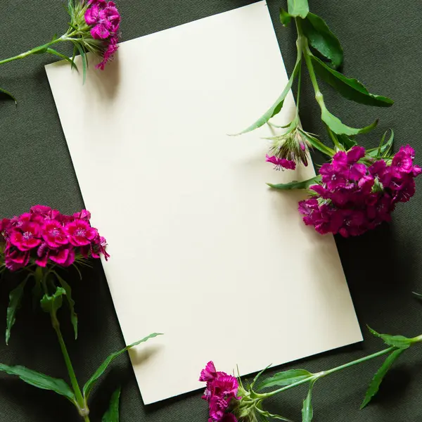Strauß Rosa Nelken Mit Leerer Karte Auf Dunkelgrünem Hintergrund — Stockfoto