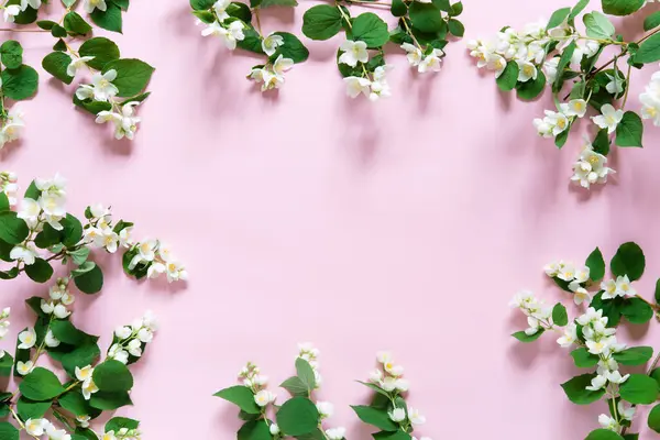 Minimalista Virágos Keret Jázmin Virágok Zöld Levelek Egy Finom Rózsaszín Stock Kép