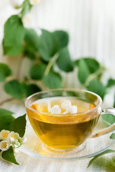 Una Taza Hierbas Aromáticas Jazmín Sobre Fondo Pastel Claro Antioxidante —  Fotos de Stock