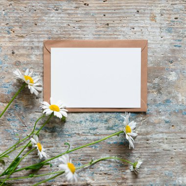 Eski ahşap bir arka planda papatya çiçekleri olan bir zarfın üzerindeki boş kağıtlar. Boşluğu kopyala, düzleştir, üst görünüm, modelle