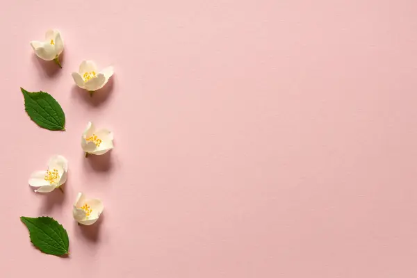 Jasmín Květiny Jemném Růžovém Pozadí Šablona Pro Gratulace Nebo Pozvánky Stock Obrázky