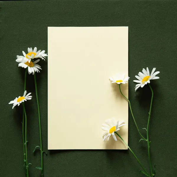 Üres Papír Fehér Százszorszép Virágokkal Zöld Háttérrel Fénymásolás Lapos Fektetés Stock Kép
