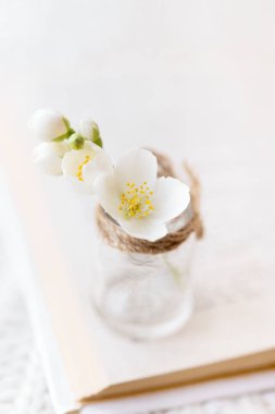 Beyaz arka planda açık bir kitaptaki küçük cam bir vazoda bir buket beyaz çiçeğin yakın çekimi. Yavaş yaşam konsepti. Tebrik kartı modeli