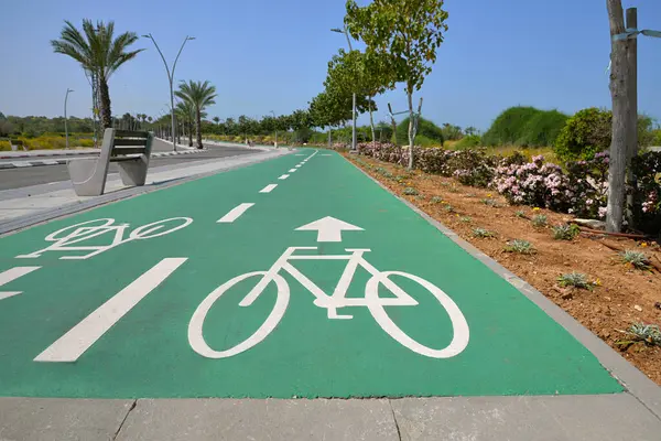 Dvoucestný Zelený Cyklistický Pruh Bílými Znaky Asfaltu Městě Slunečný Den Royalty Free Stock Obrázky