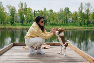 Bir kadın ve bir köpek ahşap iskelede oynuyorlar. Köpeği pençelerinden tutan kadın, Jack Russell Terrier köpeği arka ayakları üzerinde duruyor. Güzel, renkli bir yaz. Parkta gölü olan doğal bir Idyllic manzarası..