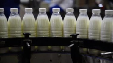Süt veya yoğurt üreten fabrika plastik şişelere konveyör hattında. Süt ürünleri fabrikasındaki ekipman. Süt dolduruyorum. Seçici odak tam süt şişeleme hattı