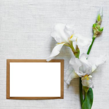 Beyaz tekstil arka planında süsen çiçekleri olan bir zarfın içindeki boş kağıtlar. Boşluğu kopyala, düzleştir, üst görünüm, modelle