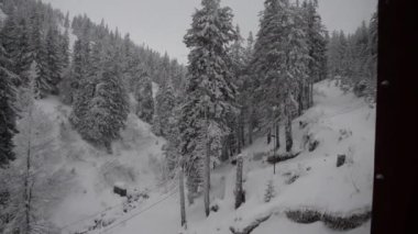 Ormandaki beyaz ağaçlar karla kaplı, kar yağışı bulutlu gökyüzü, açık havada kar yağışı. Kış Noel cennet manzarası.