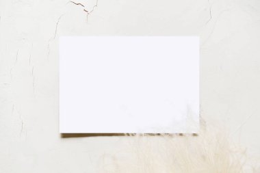 Kuru çiçek ve dallardan yapılmış minimum çiçek çerçevesi. Boş tebrik kartı, davetiye ve maket. Düz yerde, üst tarafta. Anneler günün kutlu olsun, kadınlar günü veya doğum günün kutlu olsun, düğün kompozisyonu.