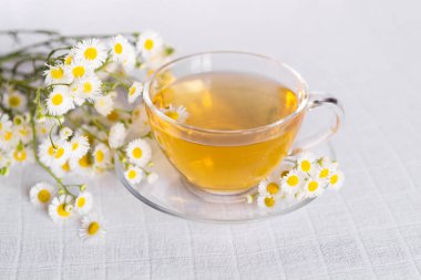 Papatya çiçekli bir fincan bitki çayı.