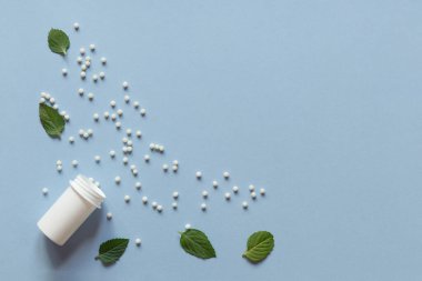 Homeopatik küreseller, beyaz plastik şişe ve mavi arka planda nane yaprakları. Alternatif ilaç, sağlık sigortası ve hap konsepti. Üst Manzara. Uzayı kopyala Düz Yat. Homeopati.