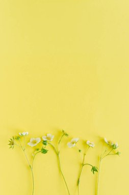 Sarı arka planda küçük beyaz çiçekli kart modeli. Güzel çiçek aranjmanı. Düğün, doğum günü. Sevgililer Günü, Anneler Günü. Üst görünüm, alanı kopyala