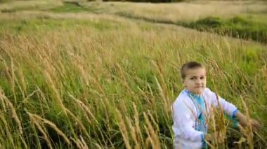 Oğlan uzun çimler ve kulaklarla bir tarlada yürüyor, ılık bir yaz günü
