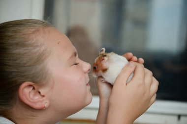 Tatlı bir hamster tutan kız çocuğu. Kız mutlu bir şekilde burnunu bir hamsterın burnuna değdiriyor. Hayvanlar ve bakıcılar arasındaki bağın göstergesi.