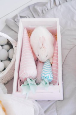 Yavru tavşan, rahat bir kulübede tavşan.